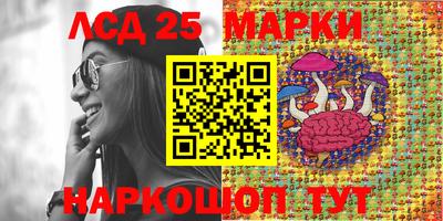 эйфоретик Кимры