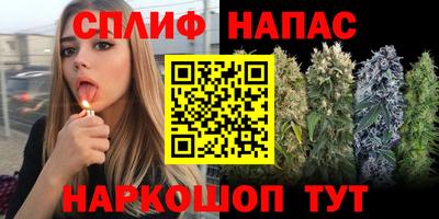 спайс Кинель