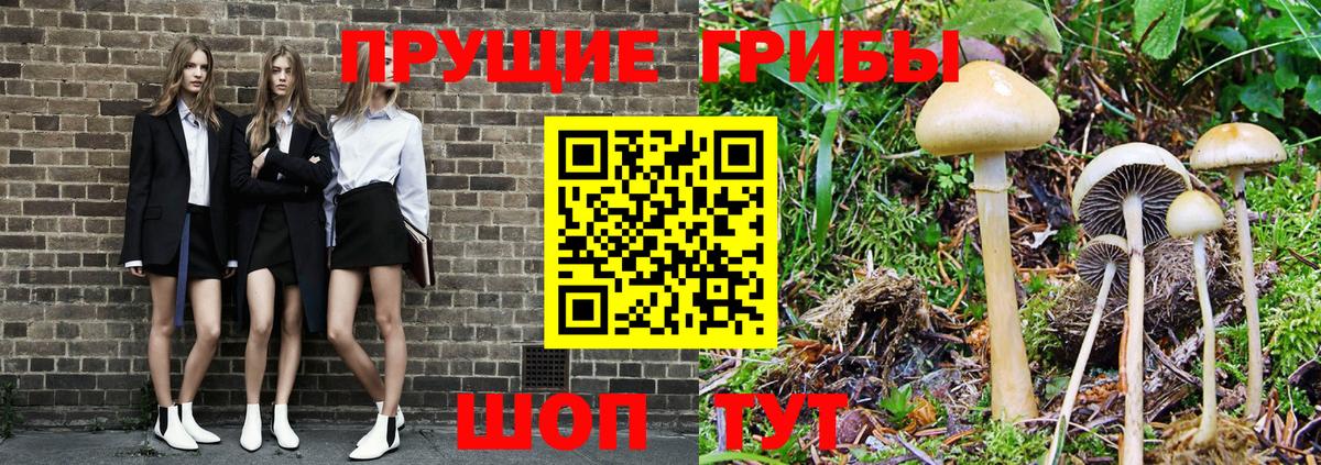 Псилоцибиновые грибы мухоморы  Псилоцибиновые грибы прущие грибы  Красногорск  Вход с VPN 